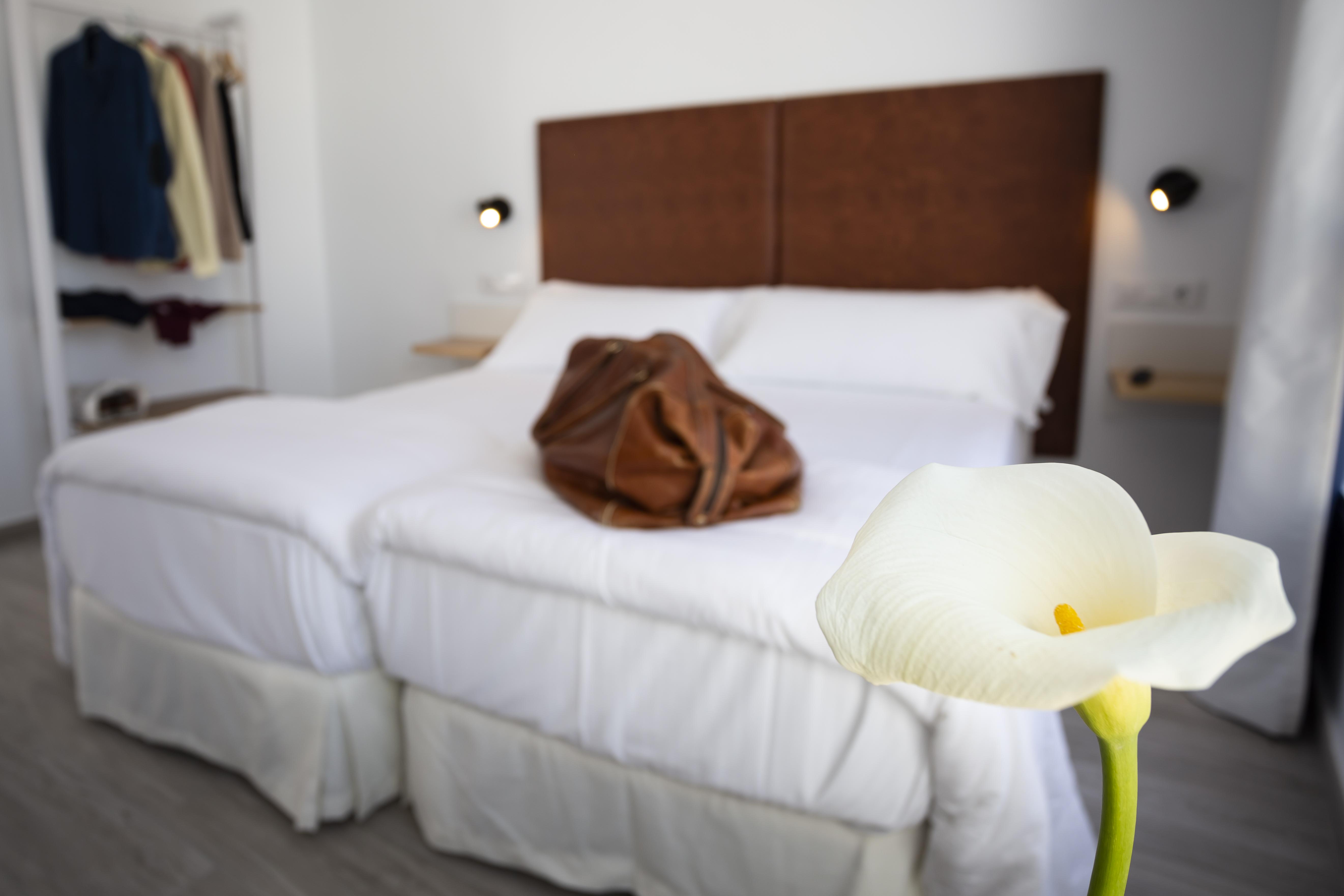 Basic Hotel Sevilla Catedral 外观 照片